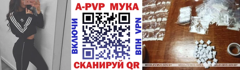 Купить где  Минеральные Воды  APVP VHQ 