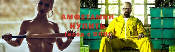 крисы Бородино