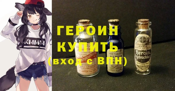крисы Бородино