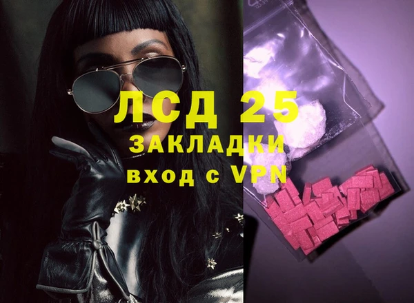крисы Бородино