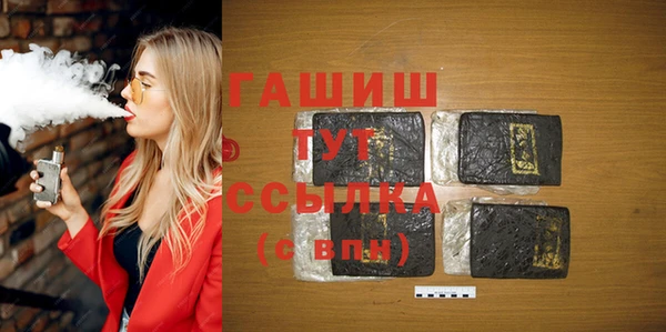 крисы Бородино