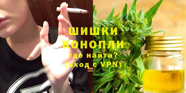 крисы Бородино