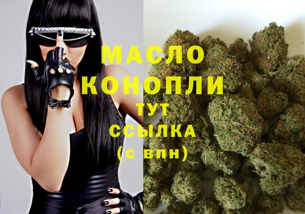 крисы Бородино