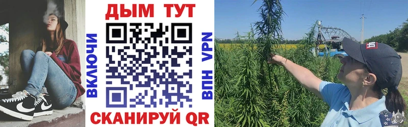 Бошки Шишки семена  Купить  Минеральные Воды 